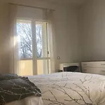 Il Castello - In Zona Residenziale * Modena